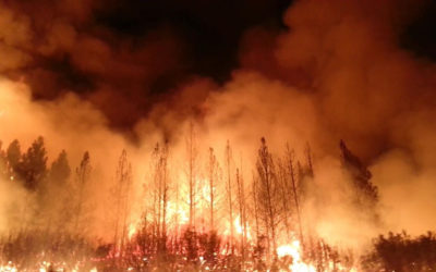 الآلاف رفضوا إخلاء بيوتهم في مواجهة حريق غابات ضخم بأميركا