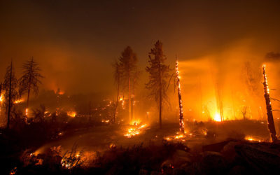 رجال الإطفاء حاصروا حريق كار فاير في كاليفورنيا