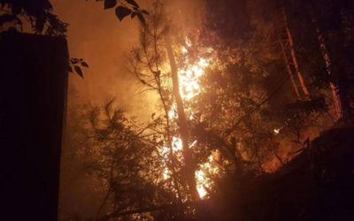 “حريق ضخم” في المشرف… ووزيرة الداخلية توجهت الى المنطقة لمتابعة عملية اخماده
