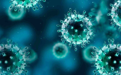 تقارير صينية تحذر من فيروس جديد أكثر فتكا من كورونا مصدره كازاخستان
