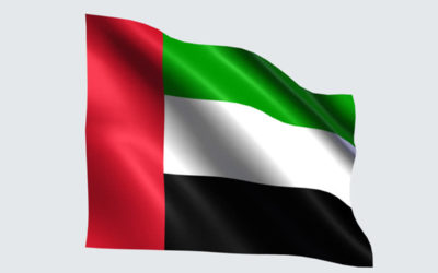 تعيين رئيس أركان جديد للقوات المسلحة الإماراتية