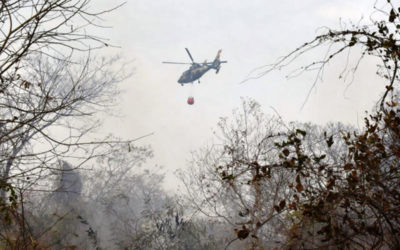 البيرو وكولومبيا تقترحان عقد قمة إقليمية طارئة بشأن حرائق الامازون