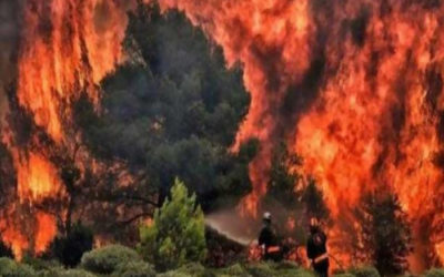 إجلاء 5 آلاف شخص من جزيرة كناريا الكبرى الإسبانية بسبب حريق