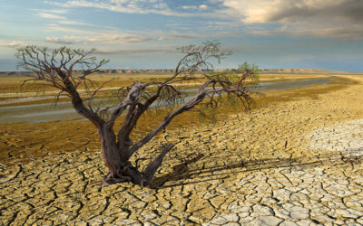 الجفاف يهدد إسبانيا والبرتغال في أسوء موجة منذ 1200 عام وإيطاليا تعلن حالة الطوارئ