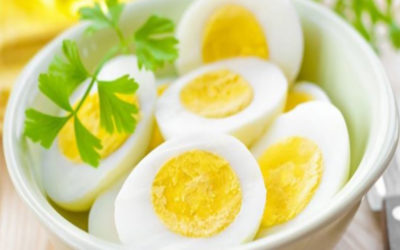 البيض وأهميته في النظام الغذائي للاطفال