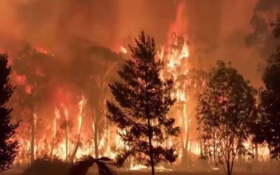 استراليا تعلن حالة الطوارئ في ولاية نيو ساوث ويلز بسبب الحرائق