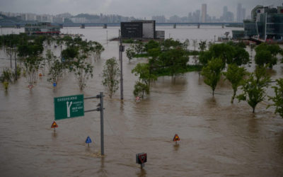 الأمطار الغزيرة في كوريا الجنوبية خلفت 13 قتيلا وأكثر من ألف نازح