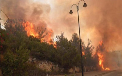 رامي مخلوف يتبرع لمتضرري الحرائق في سوريا ويتوعد من يعرقل