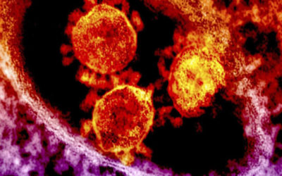 رصد ثامن حالة إصابة بالسلالة الجديدة من فيروس “كورونا” في اليابان