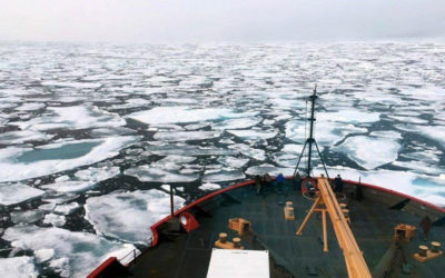 فقدان 17 شخصا في غرق سفينة في القطب الشمالي