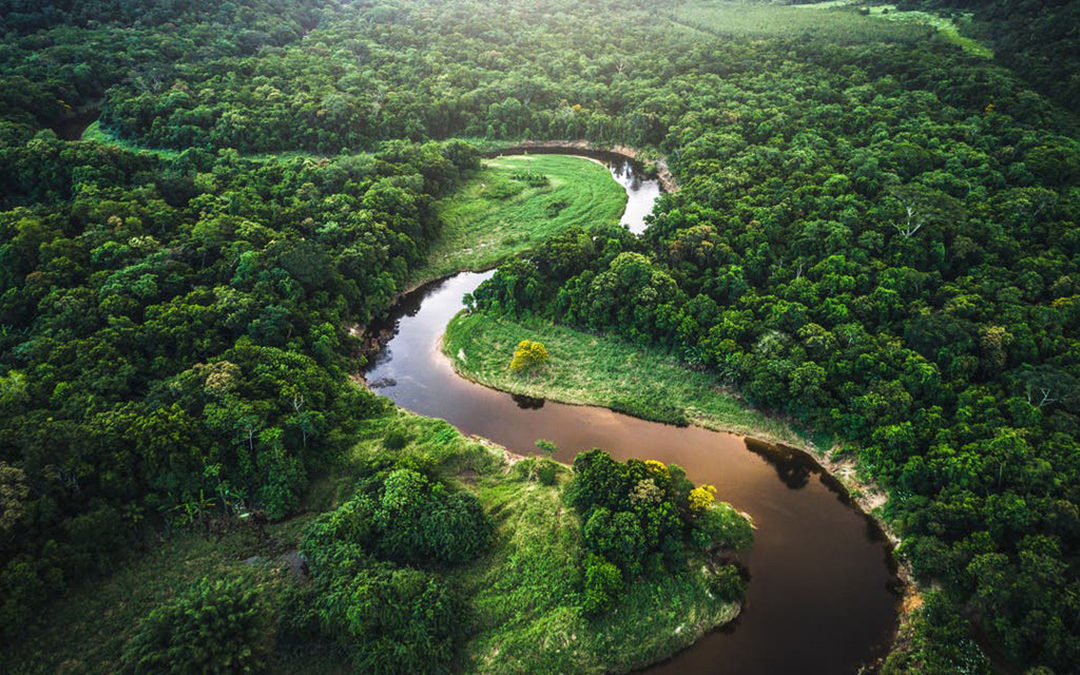 بيع أراضي غابات الأمازون عبر موقع “فيسبوك”!