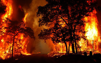 الداخلية الفرنسية: دفعنا بمئات من رجال الإطفاء لمكافحة حريق غابات اندلع في منطقة فار بجنوب البلاد