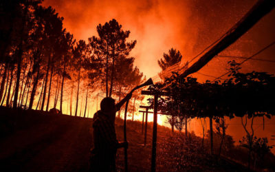 التلفزيون الجزائري: ارتفاع حصيلة قتلى حرائق الغابات في الجزائر إلى 65 بينهم 28 عسكريا