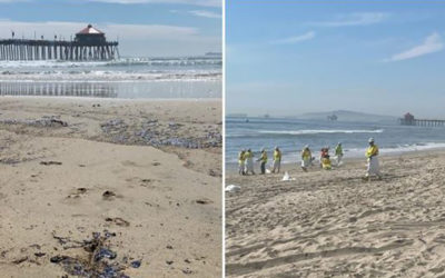 “كارثة بيئية” تضرب شواطئ جنوب كاليفورنيا