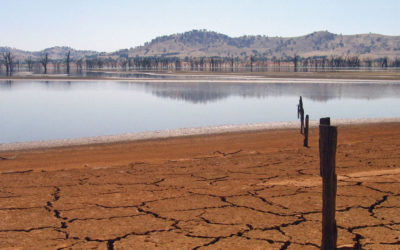 تقرير صادم عن الجفاف في العام الجاري: الأسوأ منذ 500 عام