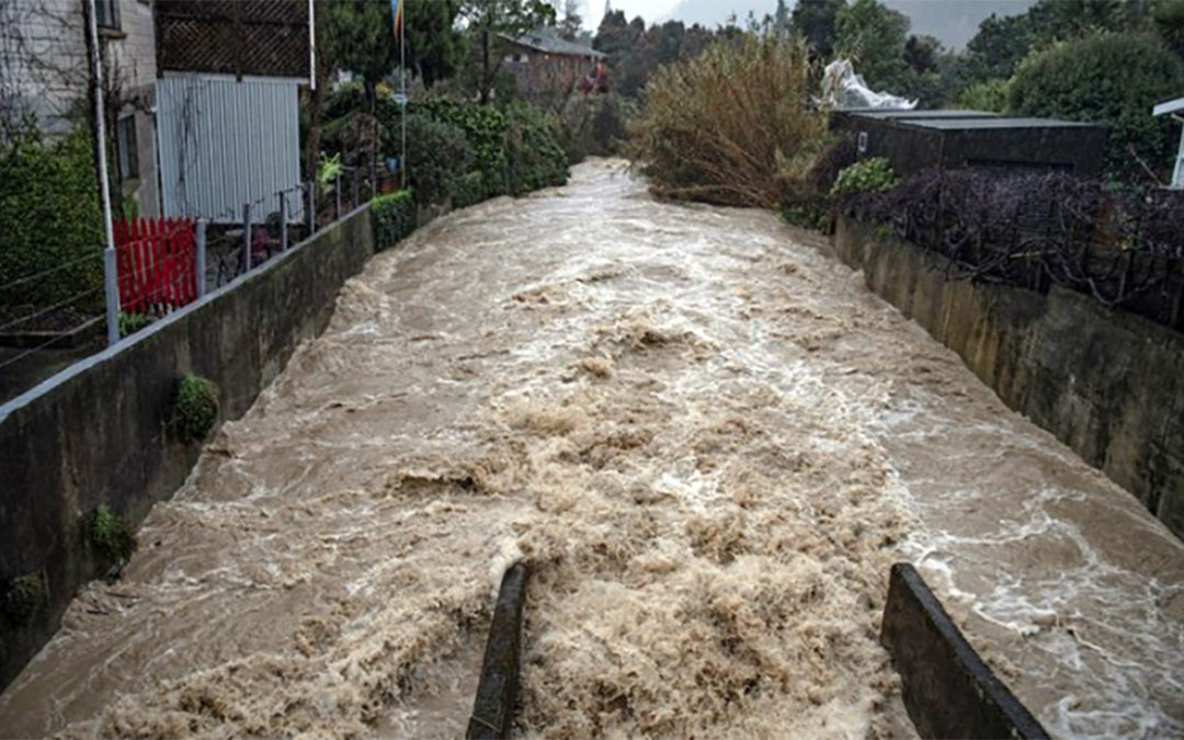 الأمطار الغزيرة في نيوزيلندا تشيع الفوضى وتجبر المئات على الإجلاء