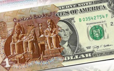 رويترز: الجنيه المصري يسجل هبوطا قياسيا والدولار يكسر حاجز 30 جنيها للمرة الأولى في تاريخه