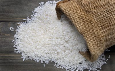 فاو: سعر الأرز في أعلى مستوياته منذ 15 عاما