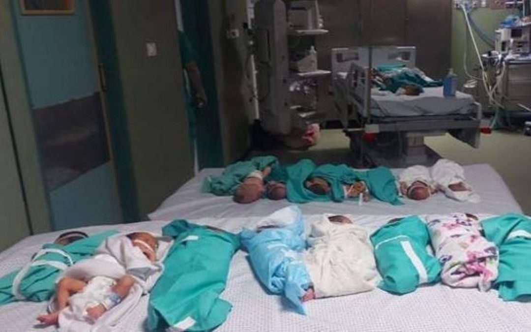 مصر تبدأ استقبال الأطفال الخدج الفلسطينيين عبر معبر رفح