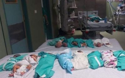 وكيل الصحة بغزة أكّد محاولة حفر قبر جماعي للجثامين المتواجدة داخل مستشفى الشفاء بعد تعذّر إخراجهم