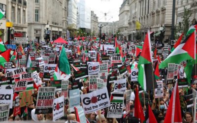 استمرار التظاهرات المساندة لفلسطين في ايطاليا واستنكار لموقف الحكومة المساند لإسرائيل
