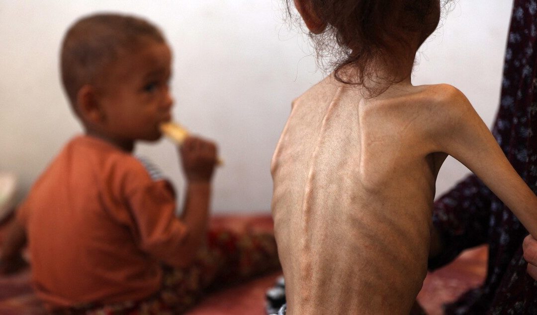“الاخبار”: نفاد الحطب يفاقم معاناة أهالي قطاع غزة