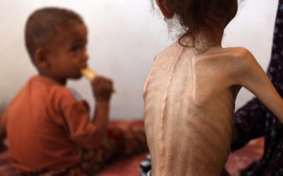 “الاخبار”: نفاد الحطب يفاقم معاناة أهالي قطاع غزة