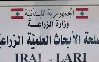 الأبحاث الزراعية: ضرورة فتح المجاري مع اقتراب موسم الامطار