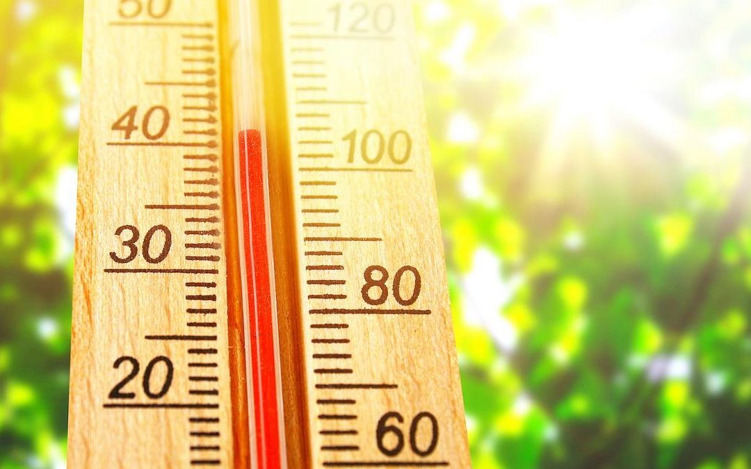 الطقس غدا قليل الغيوم مع استقرار في درجات الحرارة
