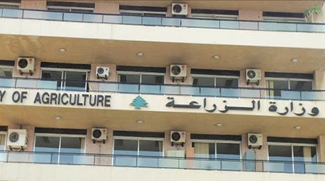 الزراعة والجمارك تضبطان كمية من العنب والليمون المهرّب