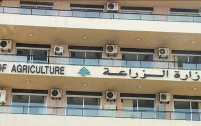 الزراعة والجمارك تضبطان كمية من العنب والليمون المهرّب